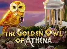 The Golden Owl of Athena